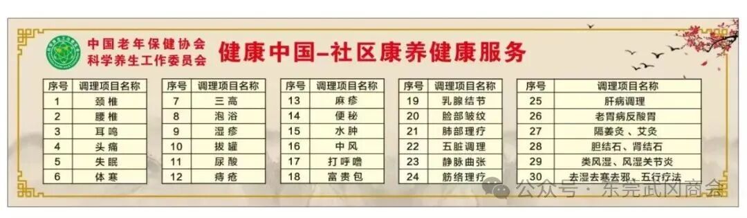 溪桐堂理疗馆开设的30项康养调理项目