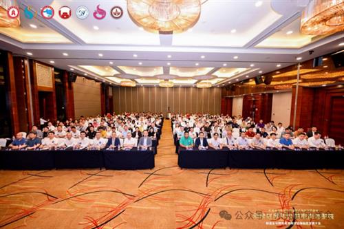 【商会动态】粤港澳大湾区邵阳籍商会第四次联席会圆满举行--邵商共探出海新机遇，凝聚发展共识